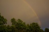 Rainbow20100614