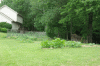 SquashRows-2008-06-22