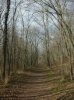 Trail Versailles State Park Indiana