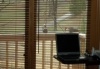 TwoPileatedsAtFeederNewYearsDay2011