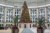 West Baden Hotel Christmas Tree, December 2007