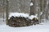 WoodPileSnowFeb2010 HiRes
