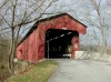 Bushing Bridge