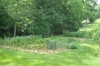 gardenjune27 1
