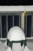 20090128SnowDeck