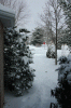 20090128SnowPath