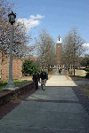 BSC_BellTowerWalk-200803.gif BSC_BellTowerWalk-200803.gif