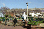 BSC_Library-200803.gif BSC_Library-200803.gif