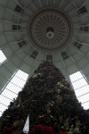 WestBadenHotelXmasTreeDome-20071223.jpg WestBadenHotelXmasTreeDome-20071223.jpg