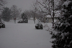 SnowyDawn-20090128.gif SnowyDawn-20090128.gif
