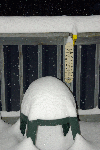SnowyDeck-20090128.gif SnowyDeck-20090128.gif