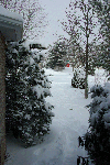 SnowyPath-20090128.gif SnowyPath-20090128.gif