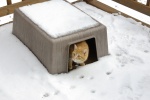 SpenserSnowHouse-20110206.jpg SpenserSnowHouse-20110206.jpg