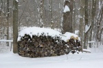 WoodPileSnow-20100215.jpg WoodPileSnow-20100215.jpg