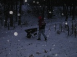 RonFetchingWood-20101220.jpg RonFetchingWood-20101220.jpg