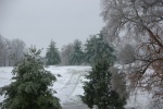 IceStorm-20110201.jpg IceStorm-20110201.jpg