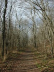 VersaillesStParkTrail-20031126.jpg VersaillesStParkTrail-20031126.jpg